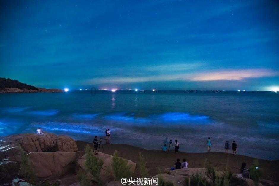 逃离太古森林