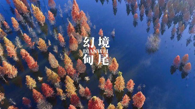 全民烧脑3去广告版