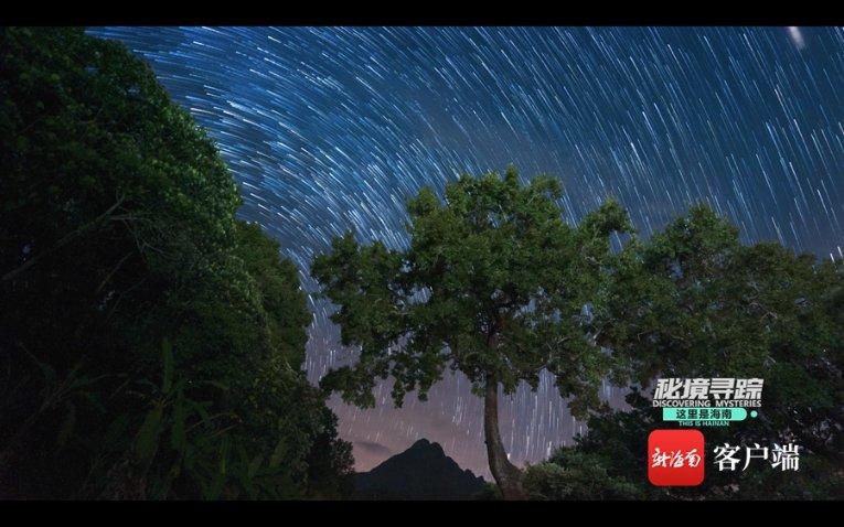 北向资金净买入37.02亿元 交易活跃度上升