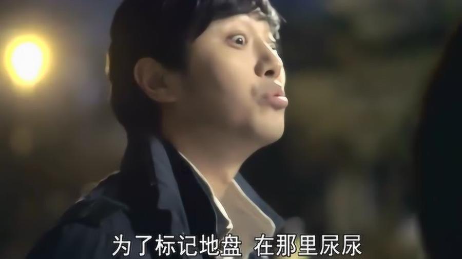 自由小迷宫