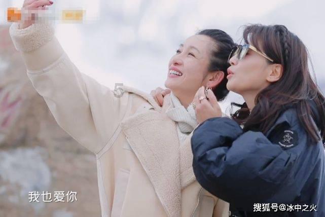 拯救穆尔小马