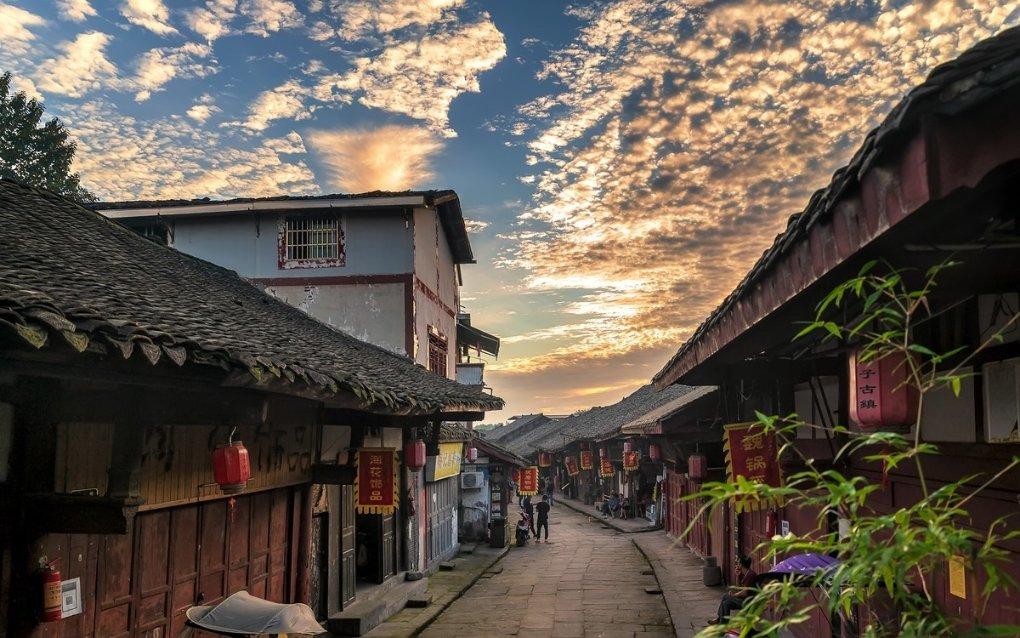 春建兰花适应的最低温度是？游戏画面